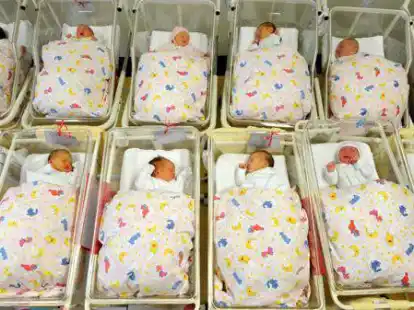 Damit Geburten im nachwuchsreichen Landkreis Cloppenburg k&uuml;nftig wieder gut laufen k&ouml;nnen, schlagen die Schwangerenberatungsstellen Alarm.