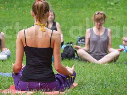 Yoga im Park geh&ouml;rt zu dem kostenlosen Angebot dazu, dass in den Ferien in Emden-Barenburg angeboten wird.