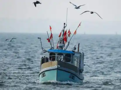 Die pauschalen Zuwendungen umfassen sowohl kleine Kutter von bis zu zehn Metern L&auml;nge mit rund 450 Euro bis zu 35.000 Euro f&uuml;r Fahrzeuge &uuml;ber 24 Meter.