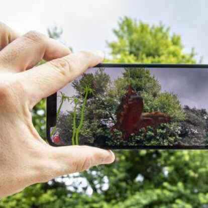 Welche Wunder k&ouml;nnen bei der Schnitzeljagd entdeckt werden? Wer&rsquo;s wissen will, sollte es selbst herausfinden.