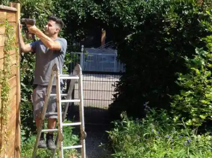 Als Garten- und Landschaftsbauer muss er auch mal zum Bohrer greifen: Gabriel Kaya hat seine Ausbildung in Uhlhorn absolviert.
