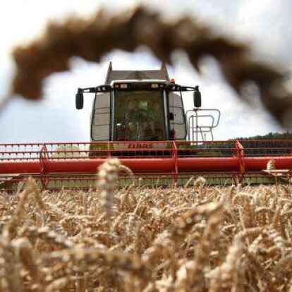 Wie geht es mit der Getreideernte weiter? Um eine Knappheit zu verhindern, gibt es seitens der Politik einige Vorschl&auml;ge.