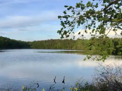 Ahlhorner Fischteiche