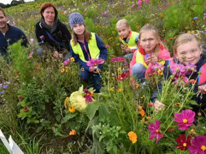 Es gr&uuml;nt und bl&uuml;ht im &bdquo;Bienengl&uuml;ck&ldquo;, einem Acker von Onno Osterloh (links). Der Landwirt aus Immer hat ihn in eine artenreiche Blumen- und Kr&auml;uterwiese verwandelt. Das Bild entstand anl&auml;sslich des Besuchs von Schulkindern auf dem Acker.