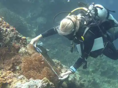 Die Unterwasserwelt erforschen: der Beruf von Dr. Theresa R&uuml;ger.