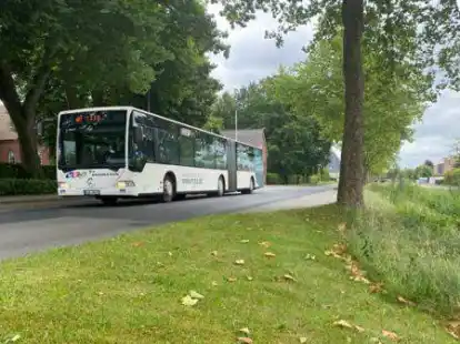 Die Macher der &bdquo;Wunderline&ldquo; sind &uuml;berzeugt, dass der Erfolg der neuen Linie auch vom &ouml;ffentlichen Busangebot abh&auml;ngt.