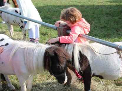 Eindr&uuml;cke vom Ovelg&ouml;nner Pferdemarkt 2019, der Marktmontag.