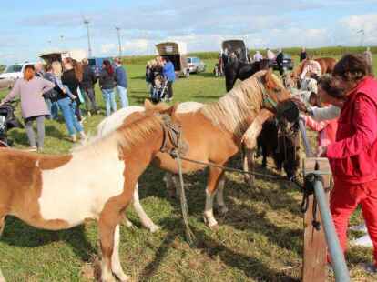 Eindr&uuml;cke vom Ovelg&ouml;nner Pferdemarkt 2019, der Marktmontag.