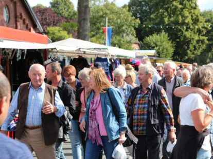 Eindr&uuml;cke vom Ovelg&ouml;nner Pferdemarkt 2019, der Marktmontag.