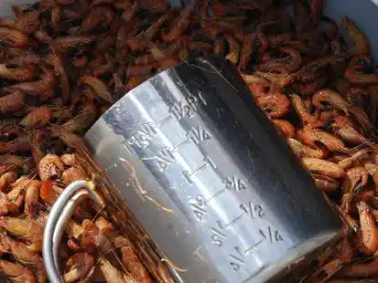 im alten Hafen Hooksiel gibt&rsquo;s fangfrische Krabben vom Kutter.