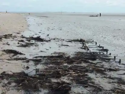 Nach mehr als 100 Jahren tauchen jetzt die &Uuml;berreste eines Bootsanlegers aus der Kaiserzeit im Wattenmeer vor Schillig auf.
