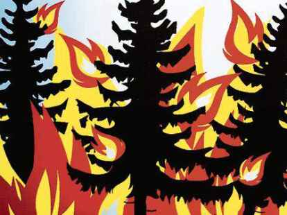 Hitzewelle: Auch im Ammerland herrscht erh&ouml;hte Waldbrandgefahr.