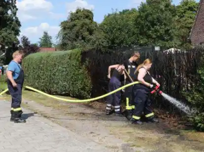 Eine Thuja-Hecke war in Mentzhausen an der Schulhelmer aus noch ungekl&auml;rter Ursache in Brand geraten.