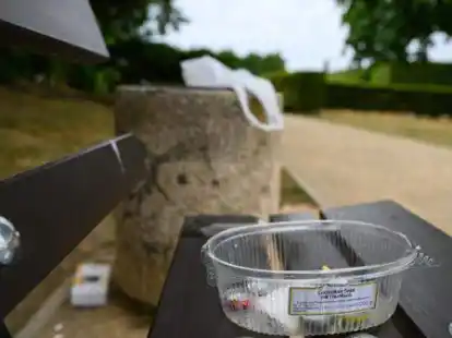 Verpackungsm&uuml;ll liegt  auf einer Bank und rund um einen M&uuml;lleimer: In der letzten Zeit ist in der Samtgemeinde Hesel mehrmals M&uuml;ll in der Natur gefunden worden &ndash; beispielsweise im Stikelkamper Wald.