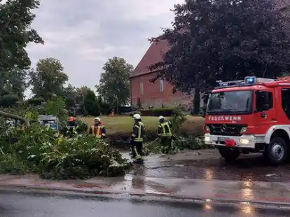 Nach dem Starkregen am Mittwochabend musste die Ortsbrandwehr Schortens nicht nur einen Baum wegr&auml;umen, sondern auch eine Tiefgarage mit Fahrstuhlschacht auspumpen.