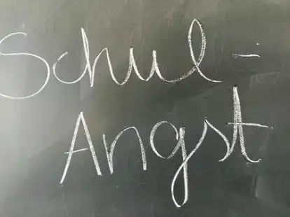 Es gibt verschiedene Arten von Angst in Verbindung mit Schule. Die schulpsychologische Dezernentin Sandra K&ouml;rner erkl&auml;rt, was Eltern machen k&ouml;nnen.