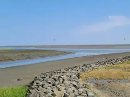Die Verschlickung der Hafenzufahrt und des Fedderwarder Priels wird immer problematischer. Butjadingens B&uuml;rgermeister Axel Linneweber sieht dringenden Handlungsbedarf.