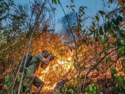 Ein brennender Regenwald in Brasilien.