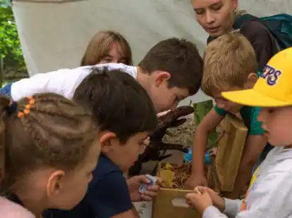 Unter anderem eine Schatzsuche geh&ouml;rte zum Programm des Feriensprachcamps im Umweltzentrum Hollen.