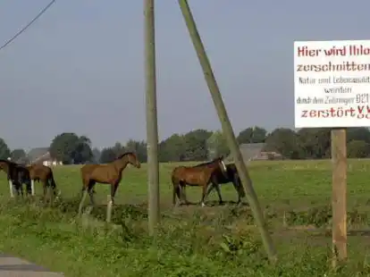 Die Schilder der Gegner der geplanten B210 sind seit Jahren an den Stra&szlig;en zu sehen.