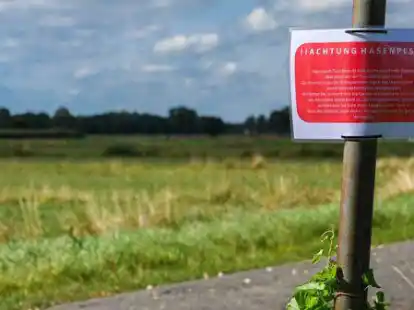 Am Meedeweg, an der Osterstra&szlig;e, am Hasenweg, an B&auml;umen und Knotenpunkt-Systemen prangen rote Warnschilder, die auf den Ausbruch der Hasenpest hinweisen. Doch grassiert die Hasenpest wirklich im Landkreis Leer?