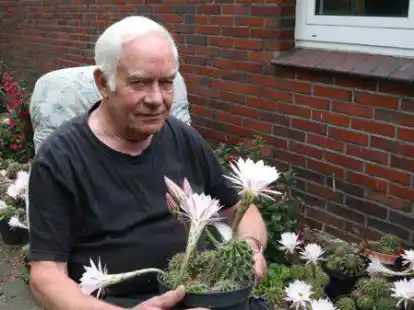 Seine Bauern-Kakteen zeigen ihre rosa Bl&uuml;tenpracht nur f&uuml;r wenige Tage.