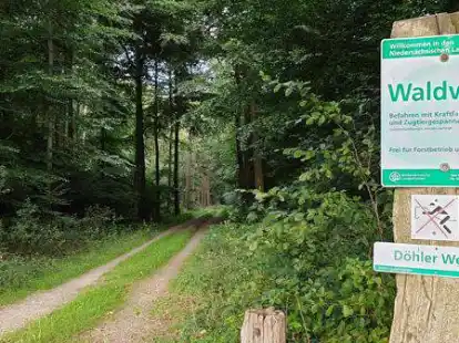 Die &bdquo;D&ouml;hler Wehe&ldquo; als FFH- und Naturschutzgebiet ist Teil des Hegeler Waldes mit seinen insgesamt 765 Hektar. Es gibt &Uuml;berlegungen, dort Wasser zu f&ouml;rdern.