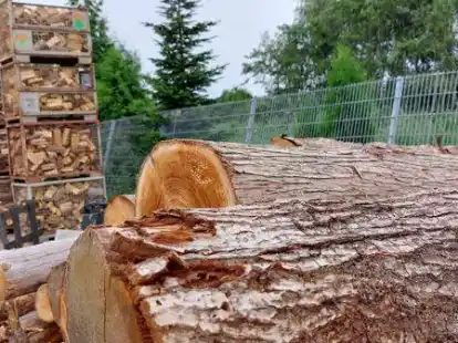 Gefragt wie selten zuvor: Brennholz f&uuml;r Kamine und &Ouml;fen.