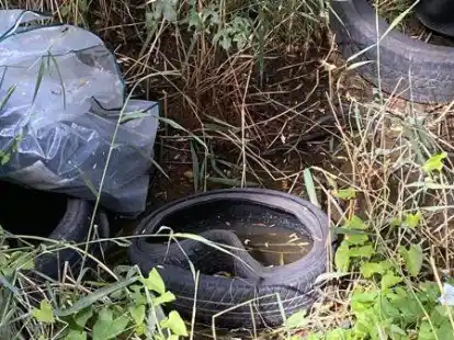 Illegal entsorgte Autoreifen am W&auml;ldchen im Osterdieksweg in Twixlum, entdeckt und fotografiert von Leser Holger Dirks.