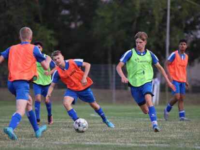Befinden sich aktuell inmitten der Vorbereitung: die U17-Junioren des BSV Kickers Emden.