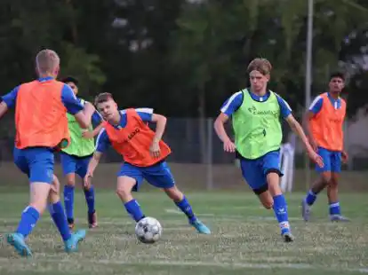 Befinden sich aktuell inmitten der Vorbereitung: die U17-Junioren des BSV Kickers Emden.
