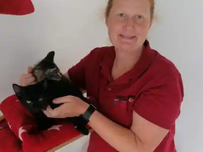 Aktuell beherbergt das Tierheim Emden eine Menge Katzenbabys, die beim Sommerfest zu sehen sind. Zwei von ihnen erhalten hier von Tierheimleiterin Jantke Tjaden eine extra Streicheleinheit.