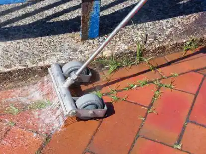 Kochend hei&szlig;: die andere Art, um unliebsames Kraut einzud&auml;mmen.