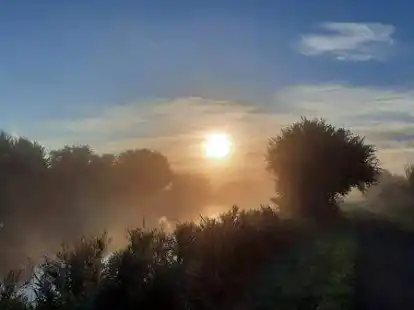 Einen sch&ouml;neren Weg zur Arbeit gibt es kaum: Diese Aufnahme vom Larrelter Tief hat uns Bettina Baumelt gesendet. Rechts zu sehen ist der Radweg am Friesenh&uuml;gel. Das Foto entstand vor wenigen Tagen morgens um sieben Uhr.