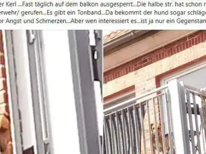 Diese beiden Bilder samt Kommentar kursierten gestern in den sozialen Netzwerken. Das Auricher Veterin&auml;ramt ist eingeschaltet.