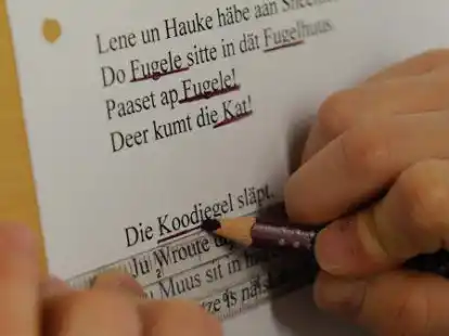 Das Saterfriesischangebot soll in den Kinderg&auml;rten und Schulen, wie hier in der &bdquo;Litje Skoule Sk&auml;ddel&ldquo;, ausgebaut werden. Das empfiehlt der Europarat.