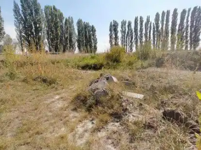 Das Gel&auml;nde der ehemaligen Reitanlage in Bargebur liegt derzeit brach &ndash; der Stall wurde im Fr&uuml;hjahr wegen Asbestbelastung abgerissen, genau wie die schon lange abg&auml;ngige Reithalle.