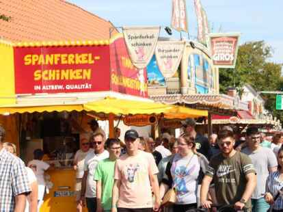 Festumzug zum 390. Ovelg&ouml;nner Pferdemarkt