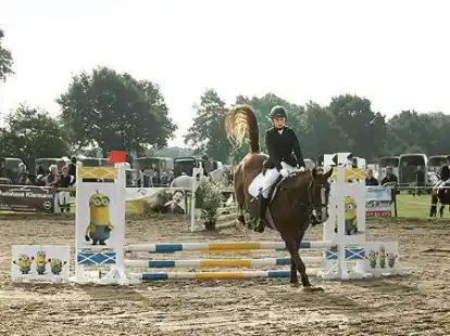 Reit- und Fahrverein Holle W&uuml;sting plant wieder Turniere.