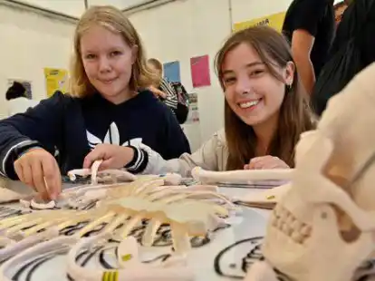 Besch&auml;ftigung mit dem menschlichen Skelett: Taalke (links) und Melina, beide 14 Jahre alt, hatten offensichtliche Spa&szlig; an den naturwissenschaftlichen Stationen.