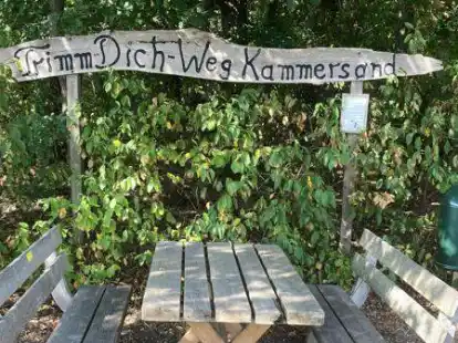 Die Gemeinde Garrel &uuml;bernimmt die Pflege im Trimm-Dich-Pfad Kammersand.