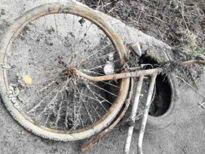 Hausm&uuml;ll aber auch ein Rad und Reifen hat der Nabu bei der M&uuml;llsammelaktion gefunden.