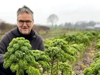 Peter Kluin bei der Gr&uuml;nkohlernte. Der Bio-Landwirt kennt sich mit solidarischer Landwirtschaft aus.