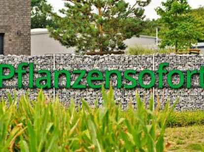 Das Team in Wardenburg (von links): Janek Iserloth, Saskia Sch&ouml;nfisch, Lena Iserloth und Christin Helmerichs