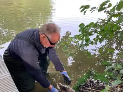 Am Fl&ouml;tenteich gibt es praktisch keinen Enten mehr, die beiden Altschw&auml;ne und ihre vier Jungschw&auml;ne sind ebenfalls gestorben.