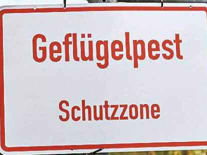 Gut drei Wochen nach einem Ausbruch der Gefl&uuml;gelpest in Hengsterholz ist der Erreger H5N1 nun in Neuenlande nachgewiesen worden. (Symbolbild)
