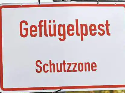 Gut drei Wochen nach einem Ausbruch der Gefl&uuml;gelpest in Hengsterholz ist der Erreger H5N1 nun in Neuenlande nachgewiesen worden. (Symbolbild)