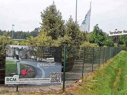 Zukunftsl&ouml;sung gesucht: Wie geht es weiter mit der Baumschule an der Torsholter Hauptstra&szlig;e?