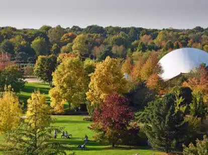 Herbststimmung im Park der Gärten: Zum Saisonende gibt es in Rostrup noch ein beeindruckendes Farbenspiel zu sehen.
