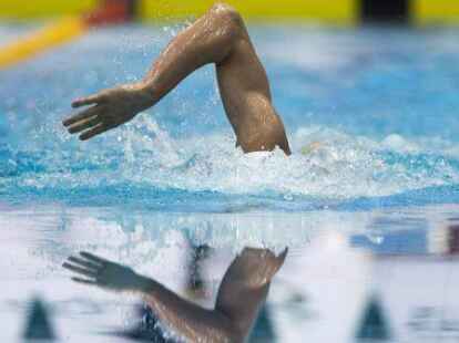 Die Schwimmer waren wieder voll in ihrem nassen Element.